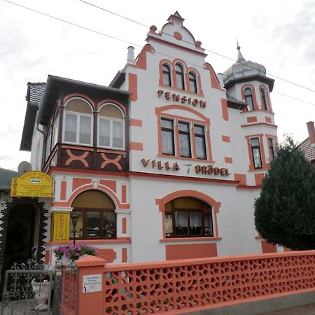 Pension Villa Broedel Bad Blankenburg Εξωτερικό φωτογραφία